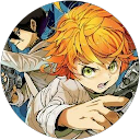 Stephen P. profile picture