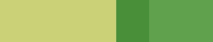 GDA Green Strip Thin